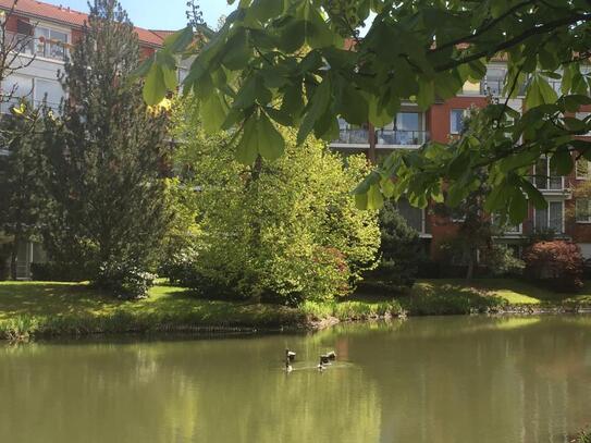 Kleine Wohnung - große Wirkung, Soutterain-Wohnung im Wohnpark Am See!