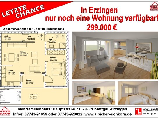 Grenznahe 2 Zi. Whg. EG mit Terrasse ca. 75 m² - Wohnung 2 - Hauptstr. 71, 79771 Klettgau-Erzingen - Neubau(Schweiz-Tra…