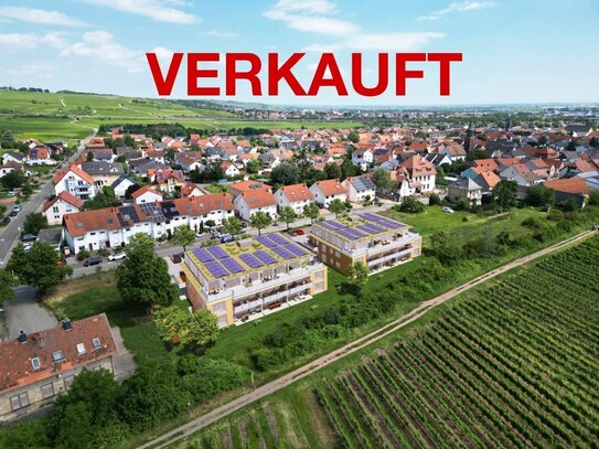 Exklusive 2 ZKB-Erdgeschosswohnung mit Gartenanteil und Rebenblick - WE 3