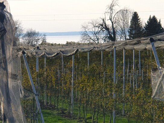 Schönes und grosszügiges Grundstück am Bayerischen Bodenseeufer