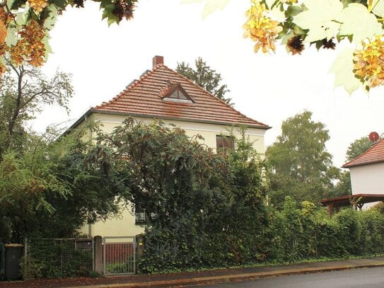 Rarität in Dresden-Laubegast!