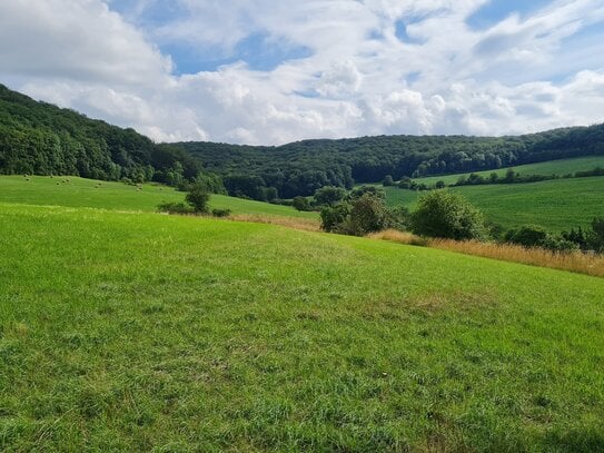 ••• Traumhaftes, idyllisches, sehr ruhiges Baugrundstück in Jena •••