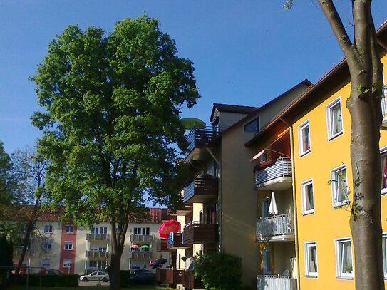 Ruhige, DG Wohnung mit Balkon im Grünen in Haunstetten