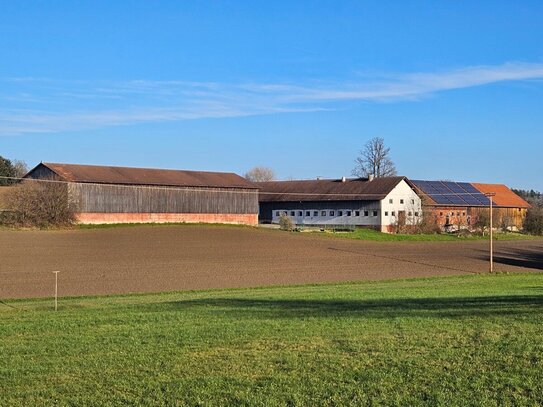 Vierseithof in idyllischer Alleinlage in niederbayerischer Hügellandschaft