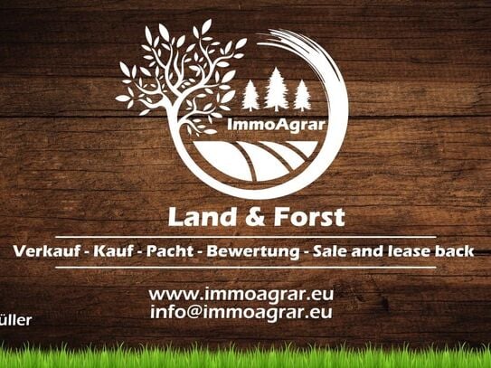 Zum Kauf sind dringend 0,2-1,5ha Wald/Forst um 85406 Zolling/Freising (FS) gesucht