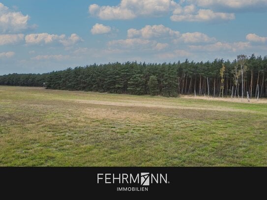 Kaufangebot - Forst- und landwirtschaftliche Flächen in Klüden