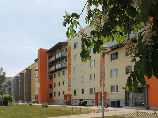 Barrierefrei Wohnen! 2-Raum-Wohnung mit bodengleicher Dusche.