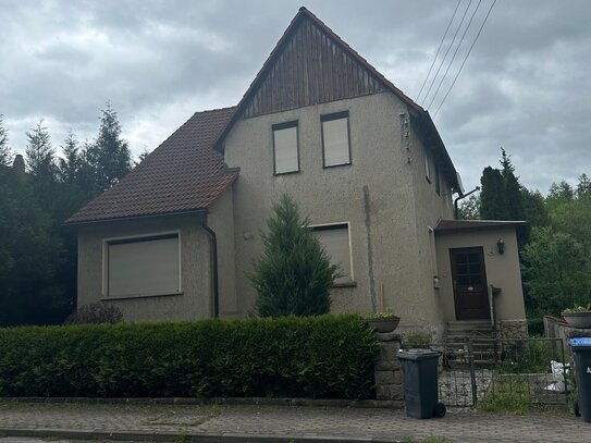 Einfamilienhaus mit Garten