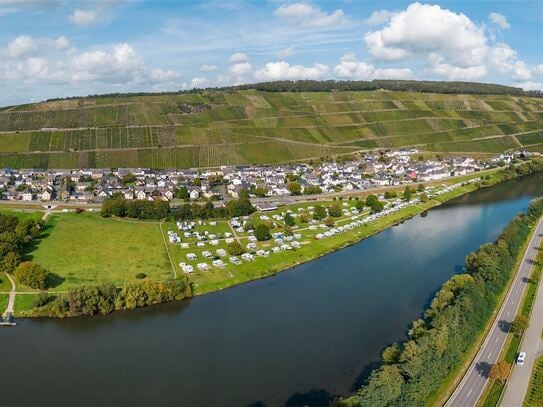 Haus mit 2 Wohnungen und Wirtschaftsgebäuden in schöner Mosellage