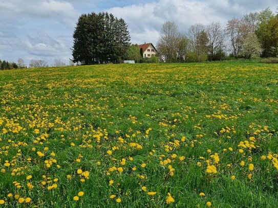 Absolute Alleinlage Perle Bauernhaus mit Herz Erholungsoase Weitblick 2 Wohnungen + Nebengebäuden