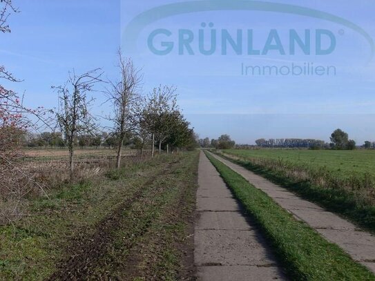 *Landwirtschaftliche Grünland-Flächen zu verkaufen!*