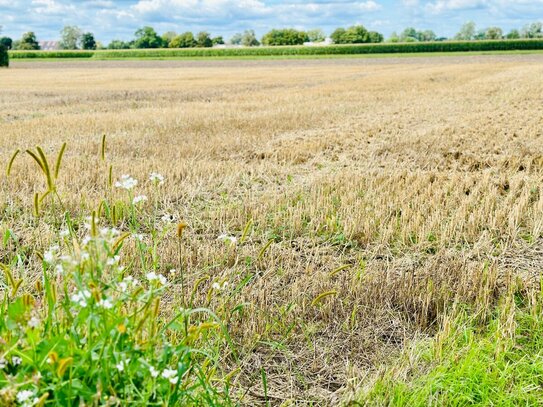 Baugrundstück in schöner Lage von Minderheide