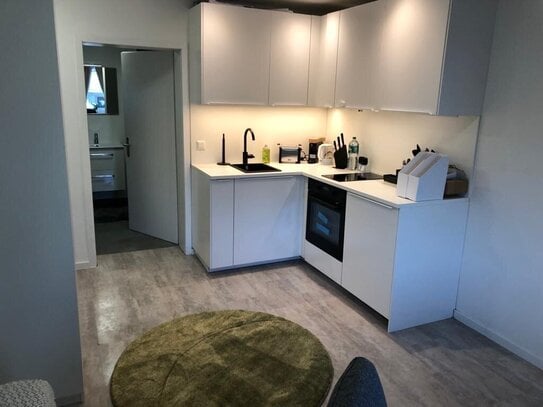 Modernes, renoviertes 1-Zimmer-Apartement, ideal für Pendler, Studenten oder Praktikanten - möbliert