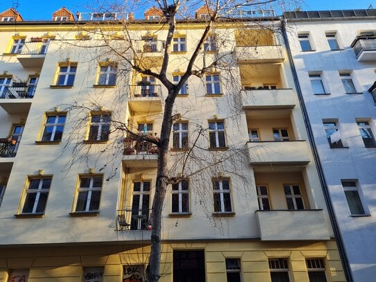 Schöne große LEERE Wohnung mit Süd-West-Balkon im Prenzlauer Berg*AltbauFeatures*