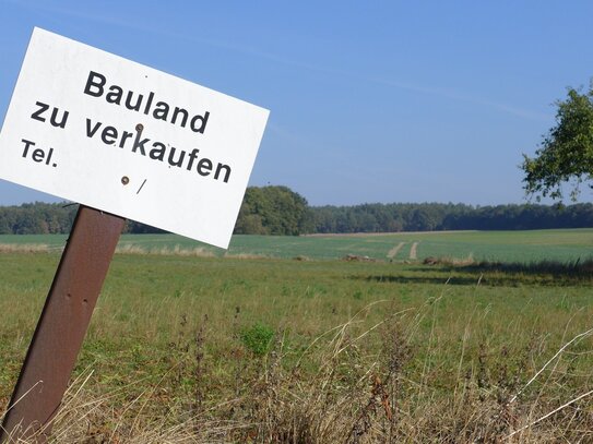 Baugrundstück in ruhiger Lage in Südausrichtung - auch Teilung möglich