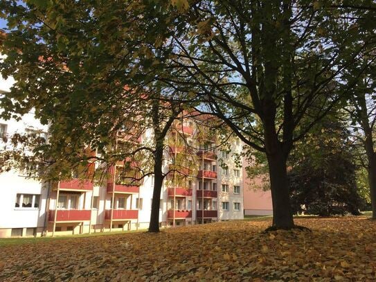 helle 3 R Wohnung zum Wohlfühlen *saniert*