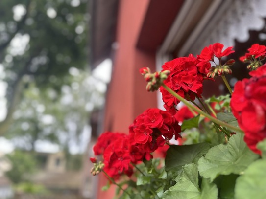 Gepflegtes - voll vermietetes MEHRFAMILIENHAUS