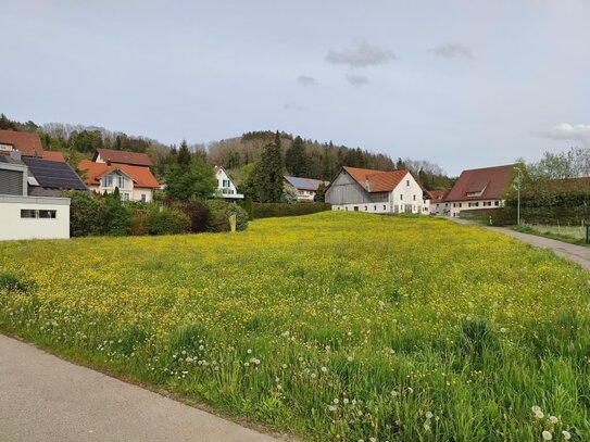 Sonniges Grundstück für Einfamilienhaus oder Doppelhaus