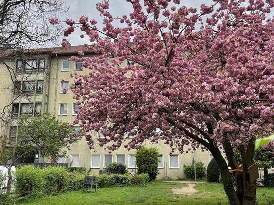 2-Zimmer Heeper Str. 284a, 1. OG rechts, ID 45508