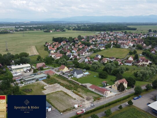 Mehrere Baugrundstücke im Elsass in direkter Grenznähe zu Deutschland