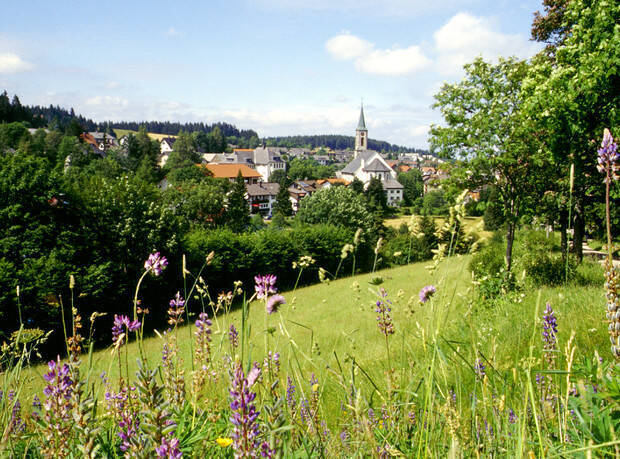                                                               Gem&uuml;tliches 1-Zimmer Appartement                                                       in Schönwald (Wunsiedel im Fichtelgebirge)