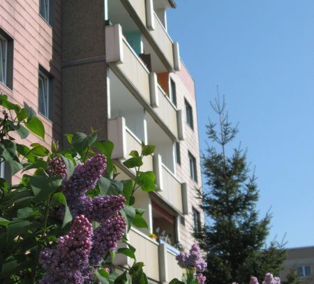 2-Raum-Wohnung mit Balkon