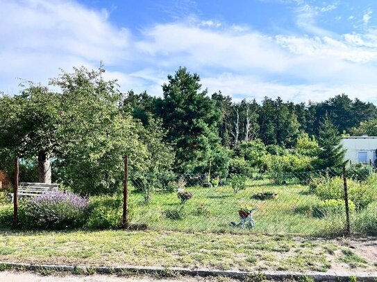 Ruhiges Baugrundstück am Waldrand