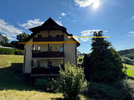 Super schöne lichtdurchflutete 3-Zimmerwohnung mit Balkon, EBK, PKW Stellplatz auf dem Lautenberg