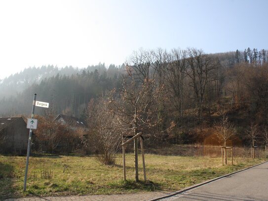 Sofort bebaubares Grundstück in ruhiger Lage....