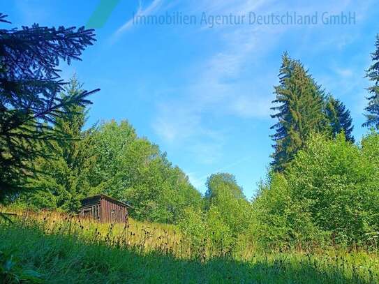 Kleines 'Sacherl' mit ca. 7.000 m² Grundstück - absolut ruhige Randlage inmitten unberührter Natur!