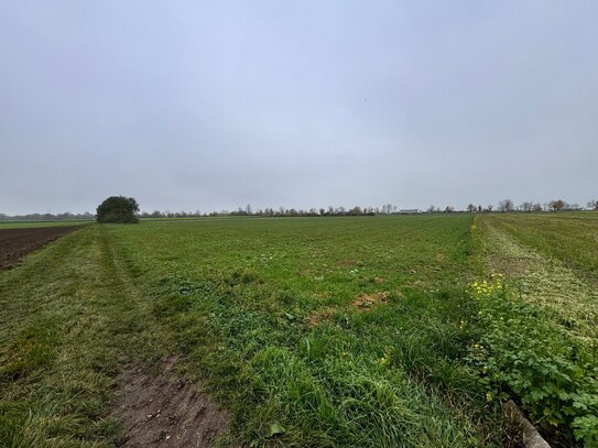 Acker-Grünlandfläche zwischen Königsbrunn und Oberottmarshausen "Viehweide"