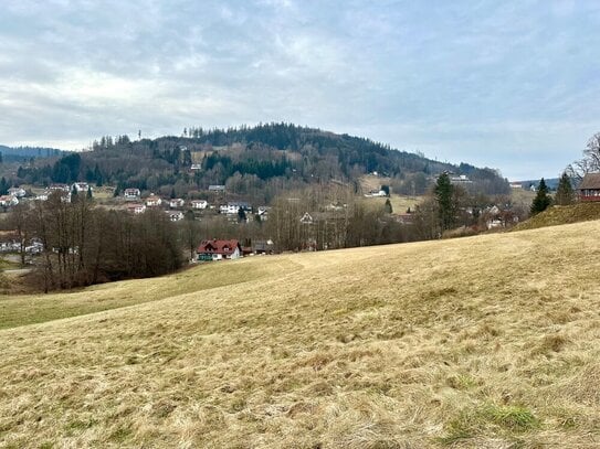 Entwicklungsgrundstück direkt in Warmensteinach!