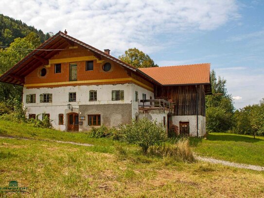 Bauernhof Gebiet Chiemsee - ca. 10 Hektar Wiese und ca. 2 Hektar Wald