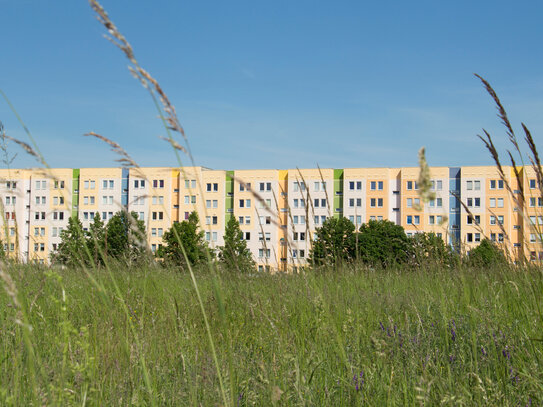 Kleine 2-Zimmer-Wohnung mit Balkon und Dusche