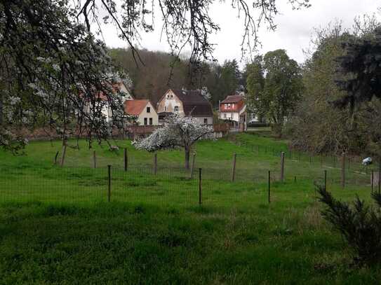 Natur Pur-Dreiseitenhof zur individuellen Tierhaltung geeignet