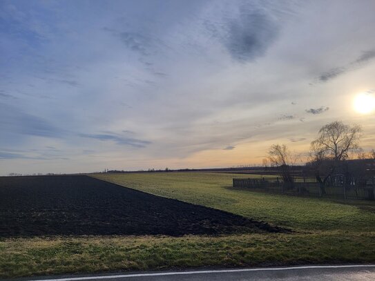 Grundstück mit weitschweifenden Südblick in Liebstedt