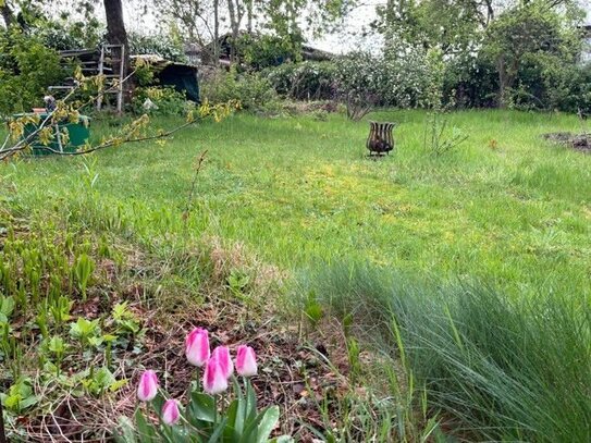 Schon jetzt an den nächsten Sommer denken und ein gemütlichen Garten anlegen.