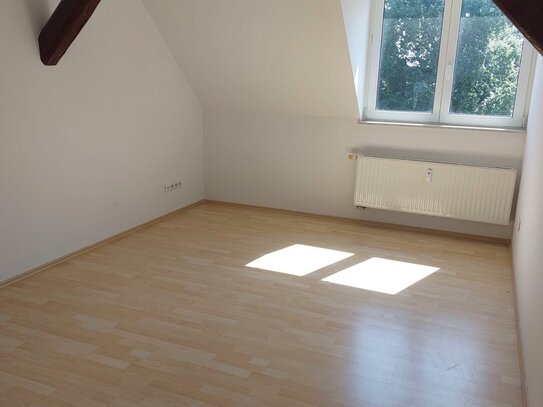 Wohnen an der Elbe sonnige schöne 4-R-Wohnung in MD-Werder im DG ca.100m² BLK. zu vermieten.