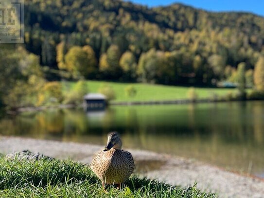 3-Zimmer-Dachgeschosswohnung mit imposanten Raumhöhen und traumhaftem Ausblick in Schliersee