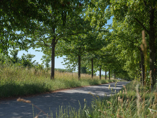 OPEN HOUSE 20.09.24: AMALIE - Wohntraum in Randlage: 3,5 Zimmer mit Blick ins Grüne und Südsonne