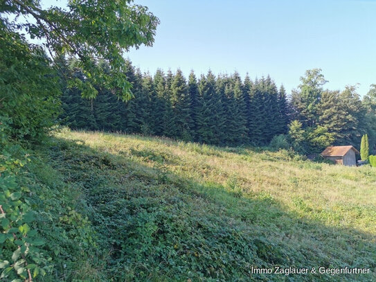 3376 m² Bauplatz für MFH, Reihenhäuser, Tinyhäuser oder Einfamilienhäuser in Künzing/Forsthart *****