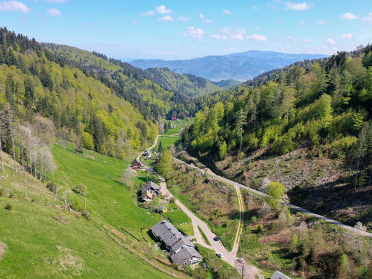 REDUZIERT: Schwarzwaldidyll bei Kappel