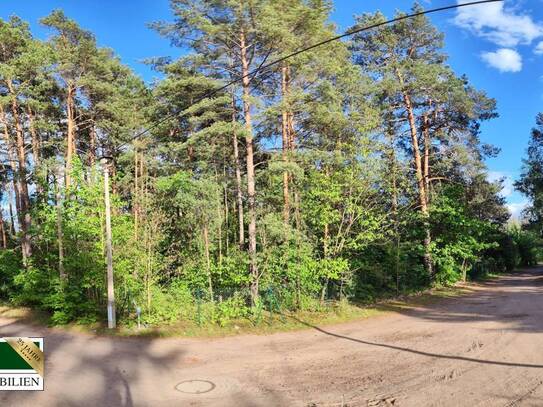 Idyllisches und ruhig gelegenes Eckgrundstück. Der Platz für ihr Traumhaus!