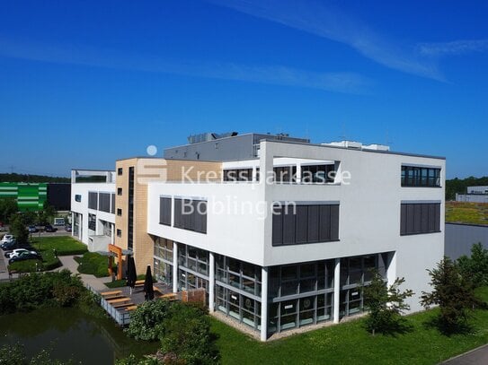 Flexibel nutzbares Penthouse-Loft-Büro mit traumhafter Dachterrasse