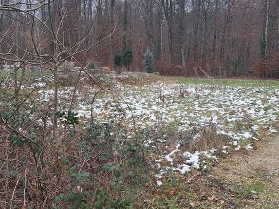 SEHR SCHÖNES UND RUHIGES GRUNDSTÜCK IN GRENZACH-NEUFELD DIREKT AM WALDRAND!