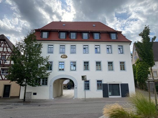 Besonderes Wohnen im Schlösschen, attr. 3-Raum Maisonette- Wohnung mit EBK+Stellpl.