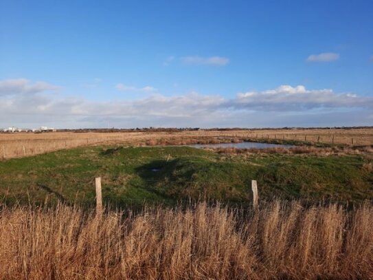 Grundstück (Landwirtschafts- und Wasserfläche) im Süden von Westerland