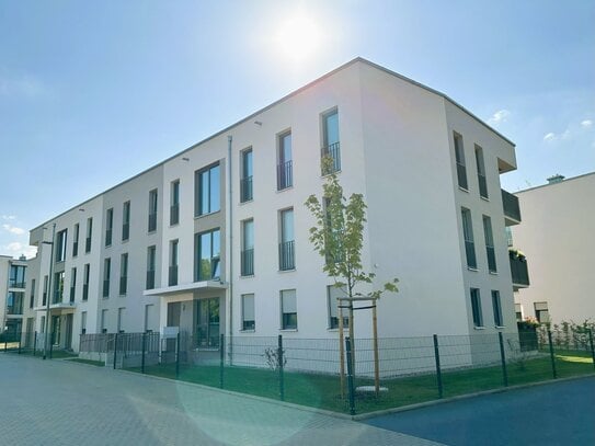 moderne 2 Zi-Neubauwohnung mit Terrasse in DD Klotzsche