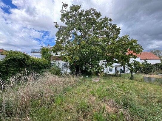 Zweifamilienhaus mit Haupthaus, Nebenhaus und großem Garten im Hinterbereich