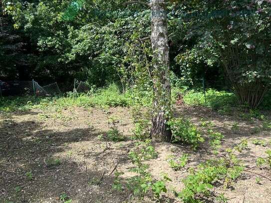 Baugrundstück mit Altbestand in Seenähe zu verkaufen